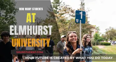 Exploring Elmhurst University's Student Population