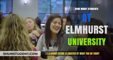 University Student Population: Elmhurst's Numbers