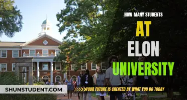 Exploring Elon University's Student Population: Numbers and Insights