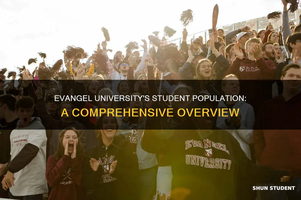 how many students at evangel university