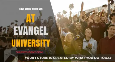 Evangel University: A Student-Centric Community