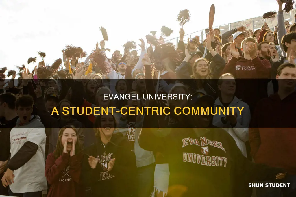 how many students at evangel university