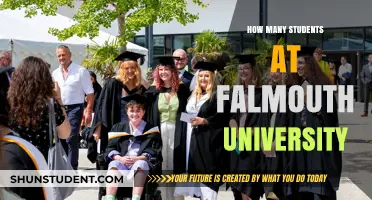 Falmouth University's Student Population: A Comprehensive Overview