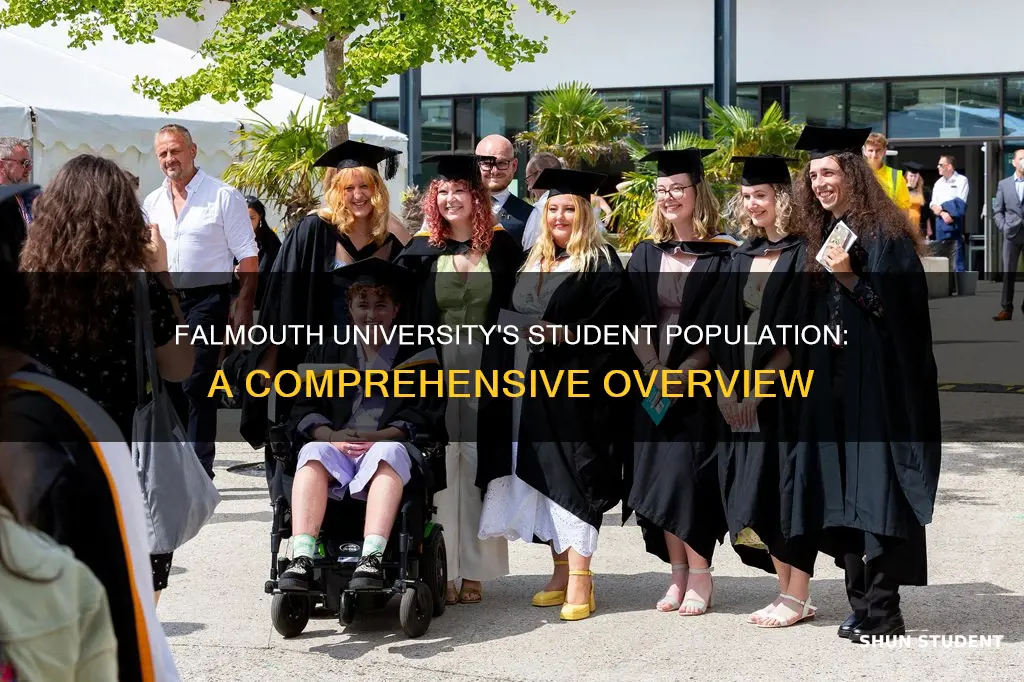 how many students at falmouth university