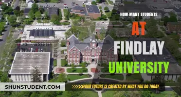 Findlay University's Student Population: A Comprehensive Overview