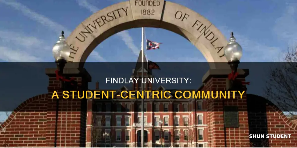 how many students at findlay university