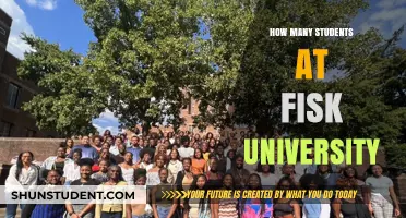 Fisk University's Student Population: A Comprehensive Overview