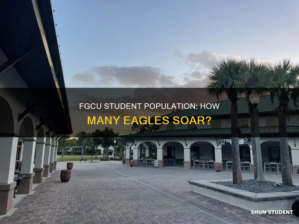 how many students at florida gulf coast university