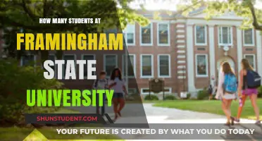 Framingham State University: Unveiling Student Diversity and Trends