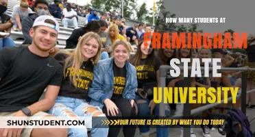 Framingham State University: Student Population Insights