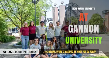 Gannon University: A Student-Centric Community