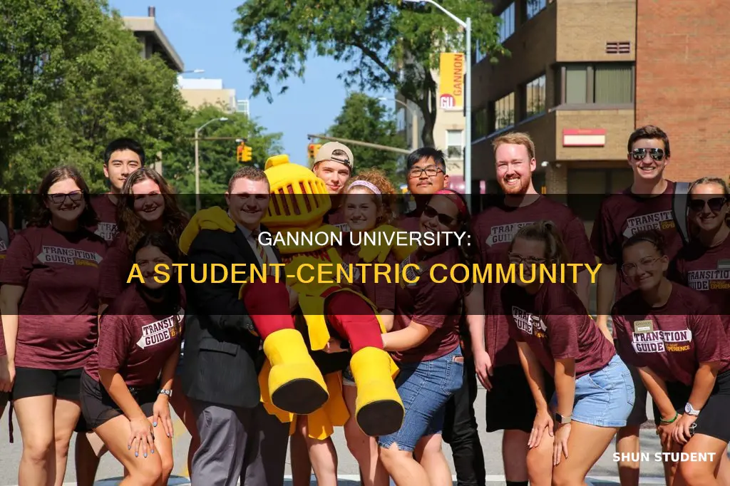how many students at gannon university