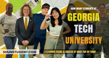Exploring Enrollment: Georgia Tech University's Student Population