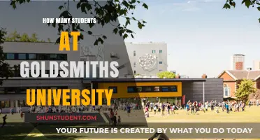 Goldsmiths University: Unveiling Student Population Insights