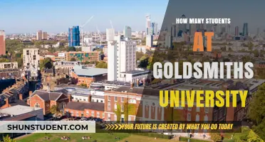 Goldsmiths University: A Vibrant Student Community of ..