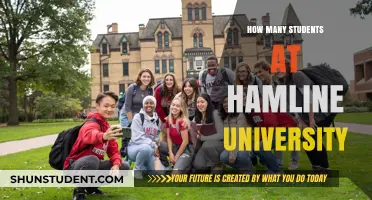 Hamline University's Student Population: A Comprehensive Overview