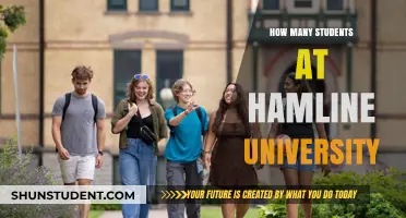 Hamline University: Student Population and You