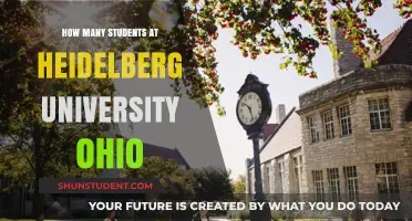Ohio's Heidelberg University: Student Population and Insights