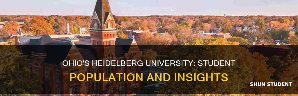 how many students at heidelberg university ohio
