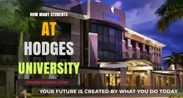 Hodges University Student Population: A Comprehensive Overview