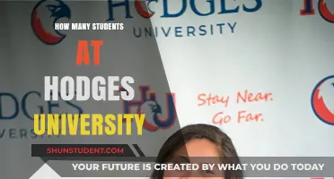 Discover the Student Population at Hodges University