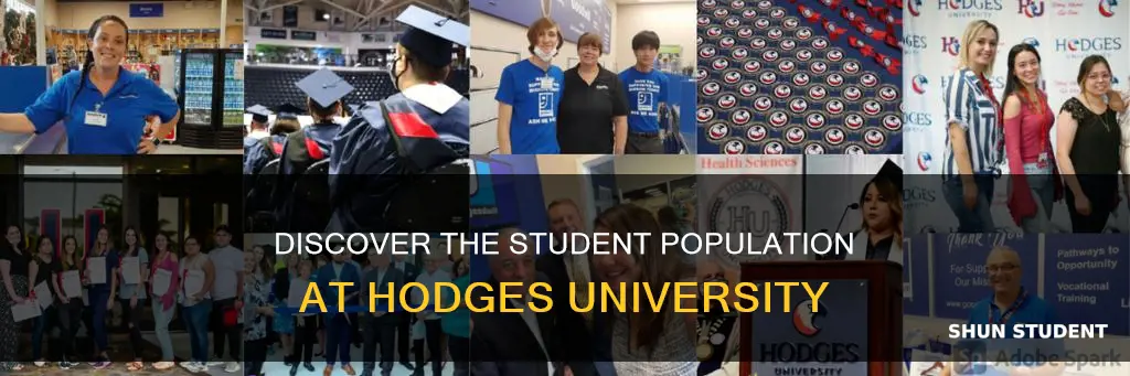 how many students at hodges university