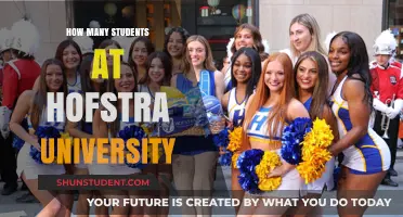 Hofstra University: Unveiling Student Population Insights