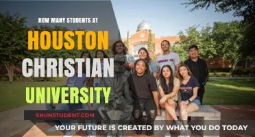 Houston Christian University: Unveiling Student Population Insights