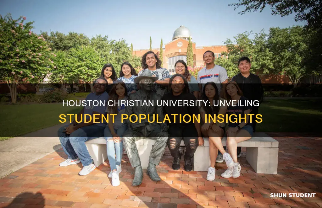 how many students at houston christian university