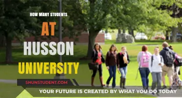 Unveiling the Student Body: A Look at Husson University's Enrollments