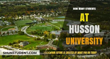 Discovering Husson University's Student Population