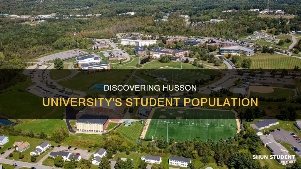 how many students at husson university