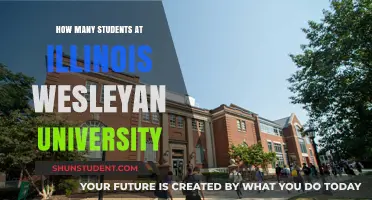 Illinois Wesleyan University Student Population Insights