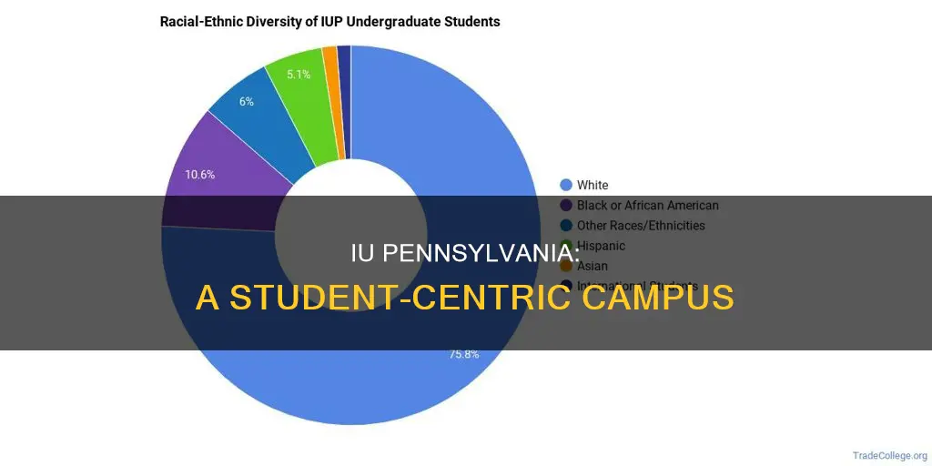 how many students at indiana university of pennsylvania