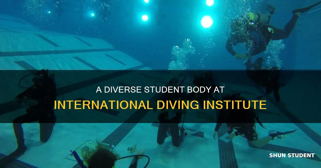 how many students at international diving institute