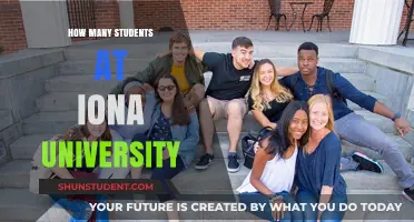 Exploring Iona University's Student Population