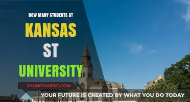 Exploring Kansas State University's Student Population