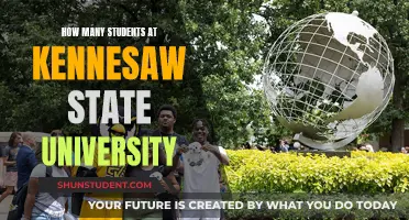 Kennesaw State University: Enrollment and Student Population Insights