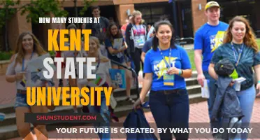 Exploring Kent State University's Student Population