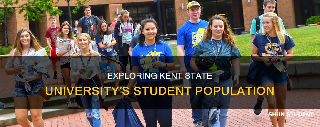 how many students at kent state university