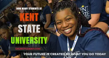 Exploring Kent State University's Student Population
