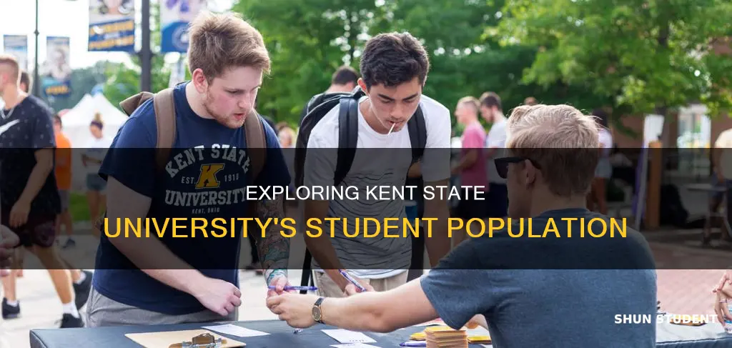how many students at kent state university