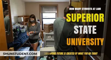 Lake Superior State University: Unveiling Student Population Insights