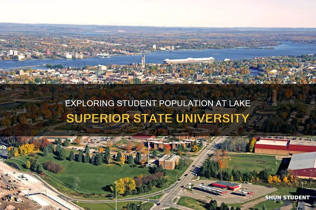 how many students at lake superior state university