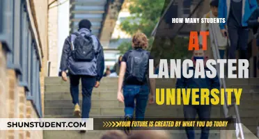 Unveiling Lancaster University's Student Population: A Comprehensive Overview