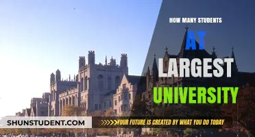 Exploring Student Population at the World's Largest Universities
