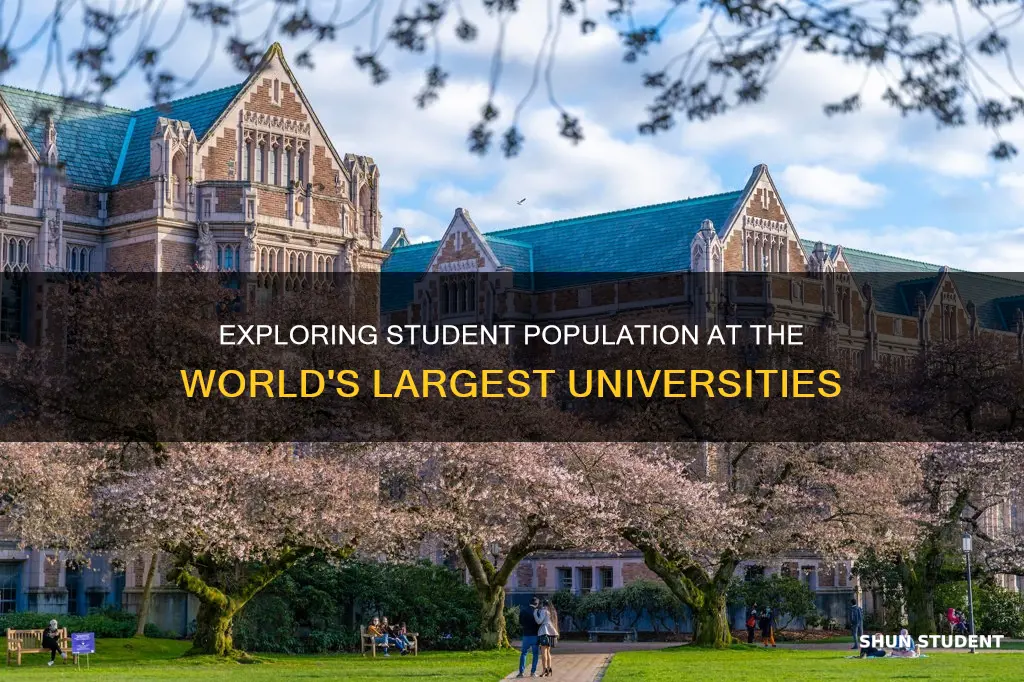 how many students at largest university