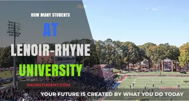 Lenoir-Rhyne University: Unveiling Student Population Insights