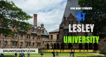 Discover the Student Population at Lesley University