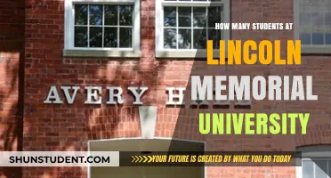 A Thriving Student Community at Lincoln Memorial University